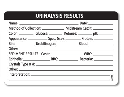 Urinalysis Laboratory Diagnostics And Its Significance In Addressing UTI - Foto 7